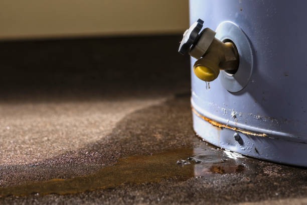 Best Local water damage restoration  in Little Falls, MN
