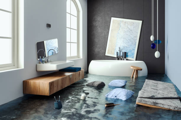 Best Water damage contractors near me  in Little Falls, MN