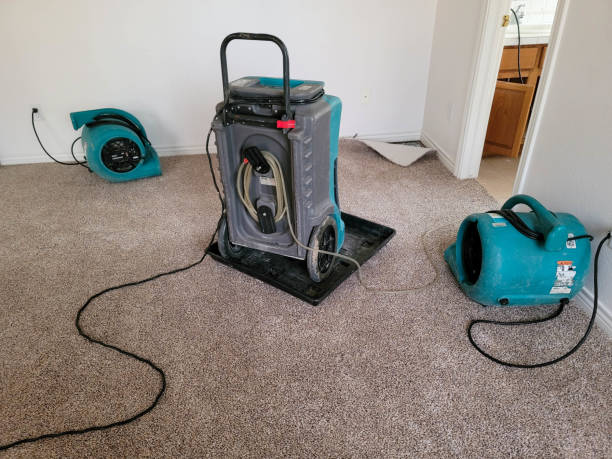 Water damage restoration process in MN