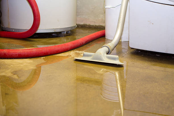 Best Fire Damage Restoration  in Little Falls, MN