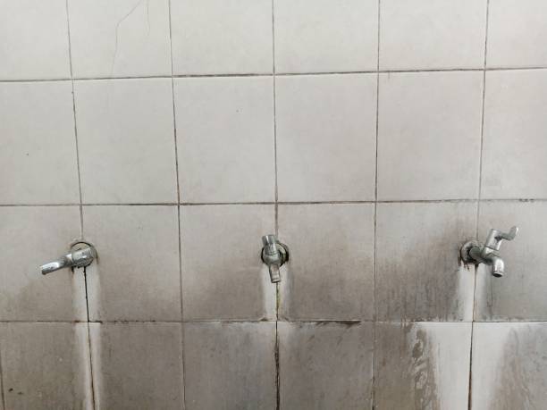 Best Professional water damage repair  in Little Falls, MN