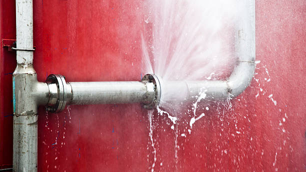 Best Residential water damage restoration  in Little Falls, MN