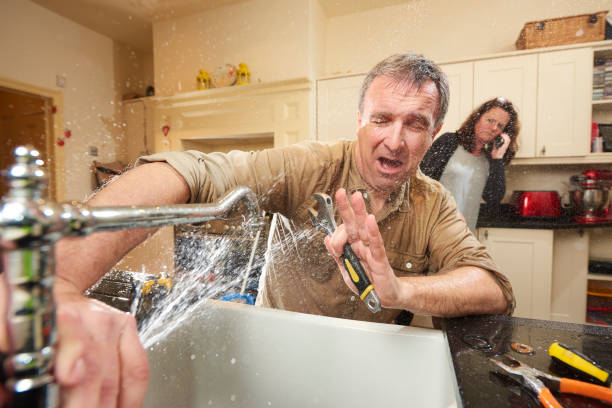 Best Flood damage cleanup  in Little Falls, MN
